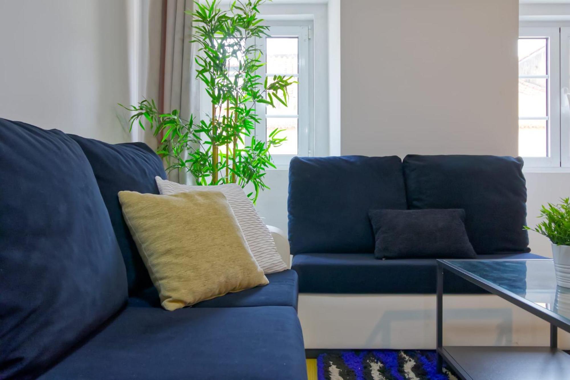 Big And Flat Apartment *